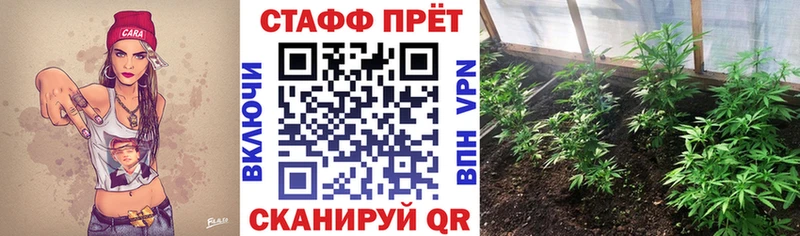 Наркотические вещества Котельнич Бошки Шишки МЕФ Кокаин ОМГ ОМГ tor Гашиш A PVP