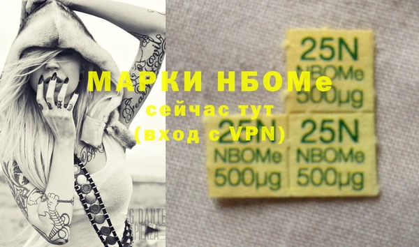 гашик Алексин