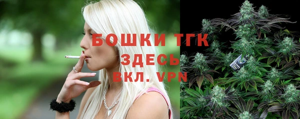 гашик Алексин