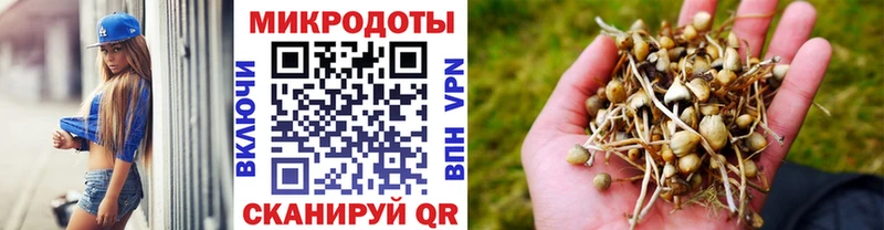 цены   Котельнич  blacksprut рабочий сайт  Псилоцибиновые грибы ЛСД 